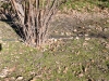 hillsweb-9-of-11 hillsweb-9-of-11