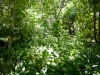 mg_5936 mg_5936
